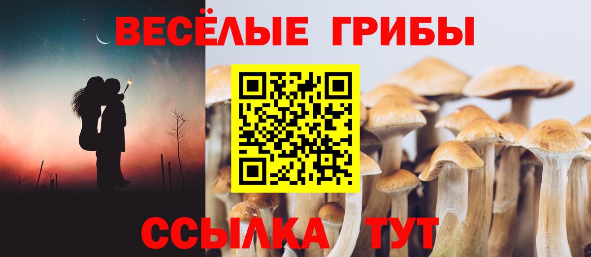 Галлюциногенные грибы MAGIC MUSHROOMS  Вход с VPN  дарнет шоп  Миасс 