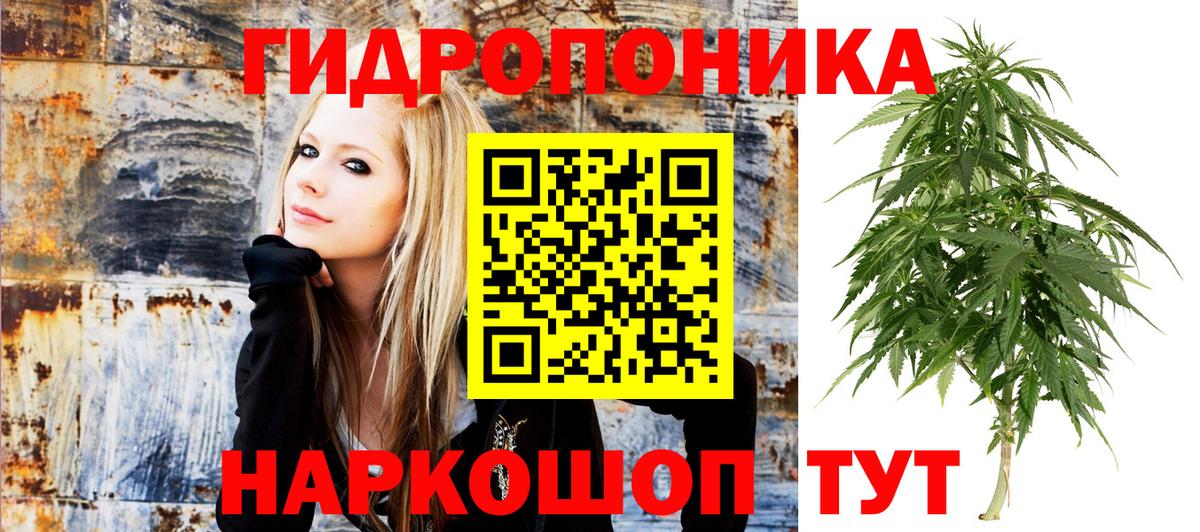 Бошки Шишки OG Kush  Вход с VPN  Миасс  Марихуана Amnesia 